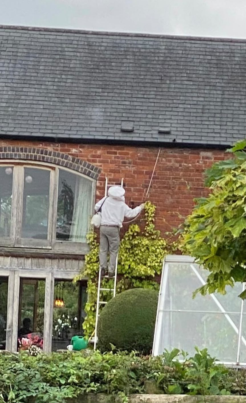 A wasp nest being treated under roof guttering