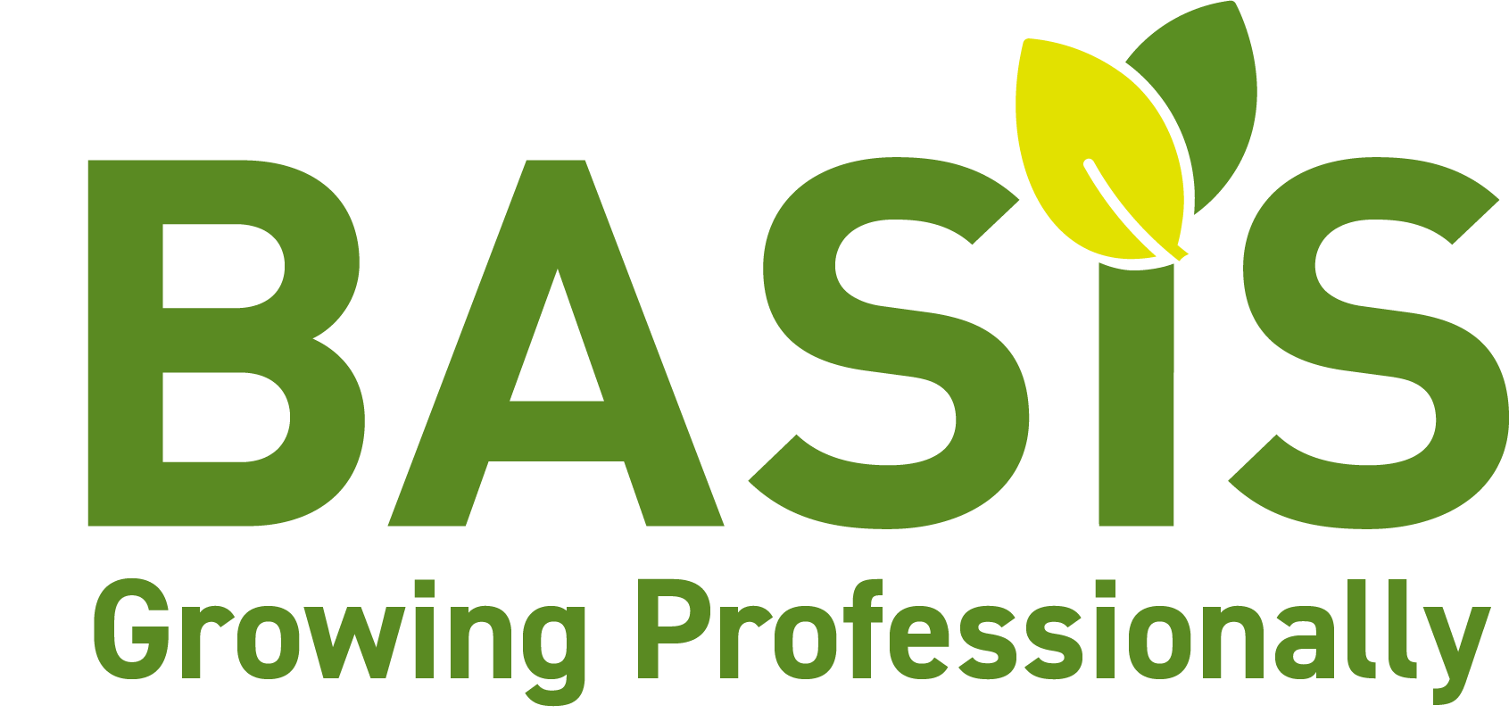 BASIS PROMPT logo